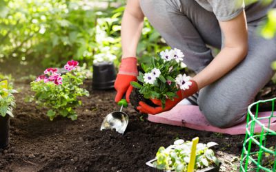 Customer View: Case Study