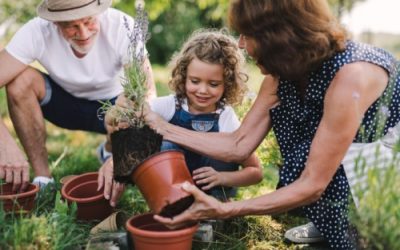 3 useful options you may want to consider when passing on assets to your loved ones