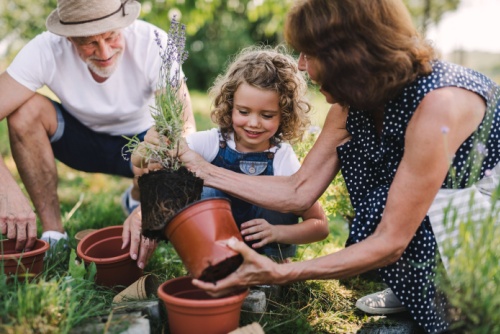 3 useful options you may want to consider when passing on assets to your loved ones