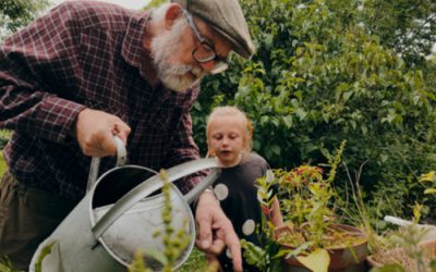 Guide: 7 useful questions if you plan to take a flexible income from your pension