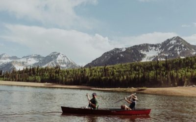 Guide: Your retirement choices: How to generate an income in later life