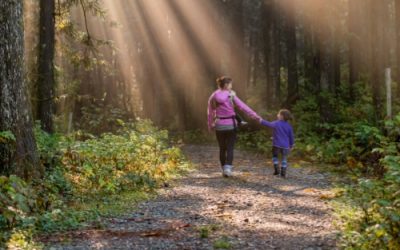 Guide: The surprising benefits of choosing a “living legacy” for your loved ones