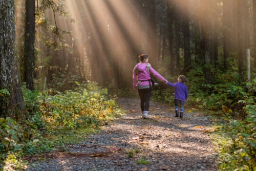 Guide: The surprising benefits of choosing a “living legacy” for your loved ones