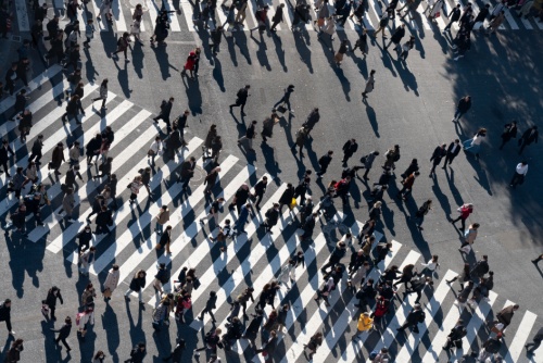 How to stop following the investment crowd and stick to your strategy